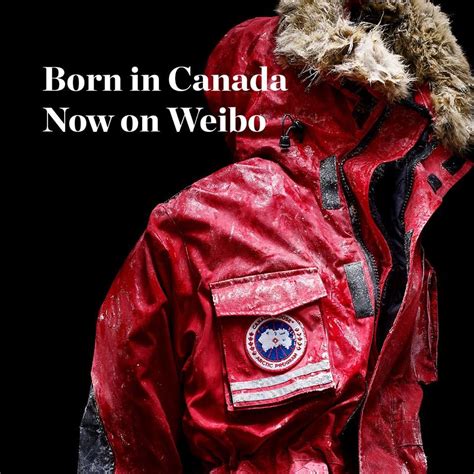 canada goose cheap in toronto